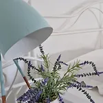 Apartmán Mirjana Hodilje
