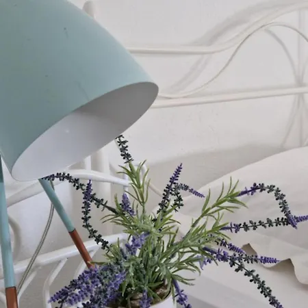 Apartment Mirjana Hodilje